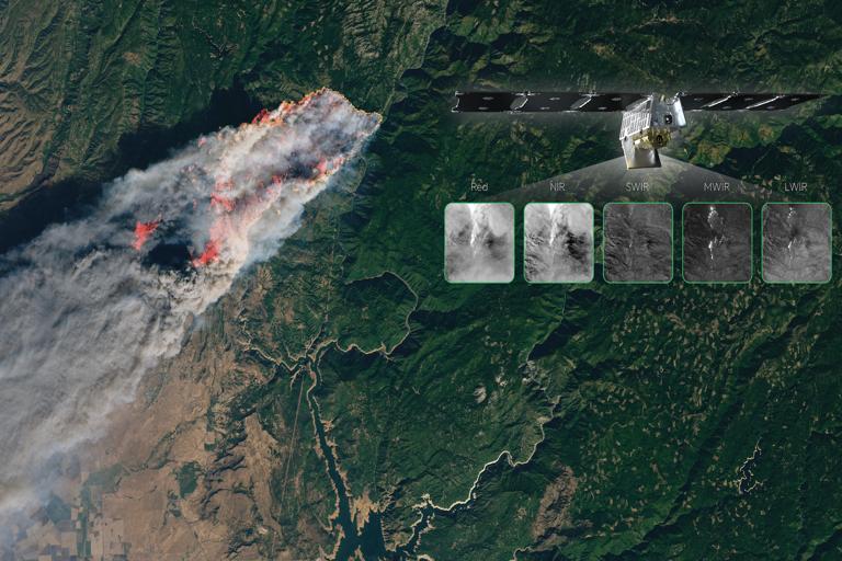 Toronto Startup Develops AI to Combat Wildfires